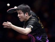 IM体育-德国乒乓球队绝杀中国乒乓球队，樊振东绝境逆转的简单介绍