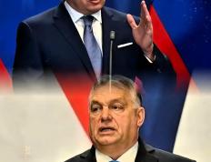 IM体育官方网站-包含匈牙利队惨遭淘汰，实力不济困扰不断的词条