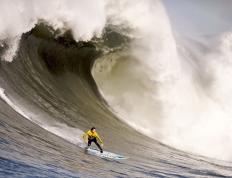 IM体育官方网站-德甲争冠战焦点战与活塞关键战突围奇才，竞技体育的殊途同归