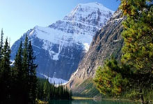 IM体育社区互动入口-关于利物浦豪取五连胜，势如破竹的信息