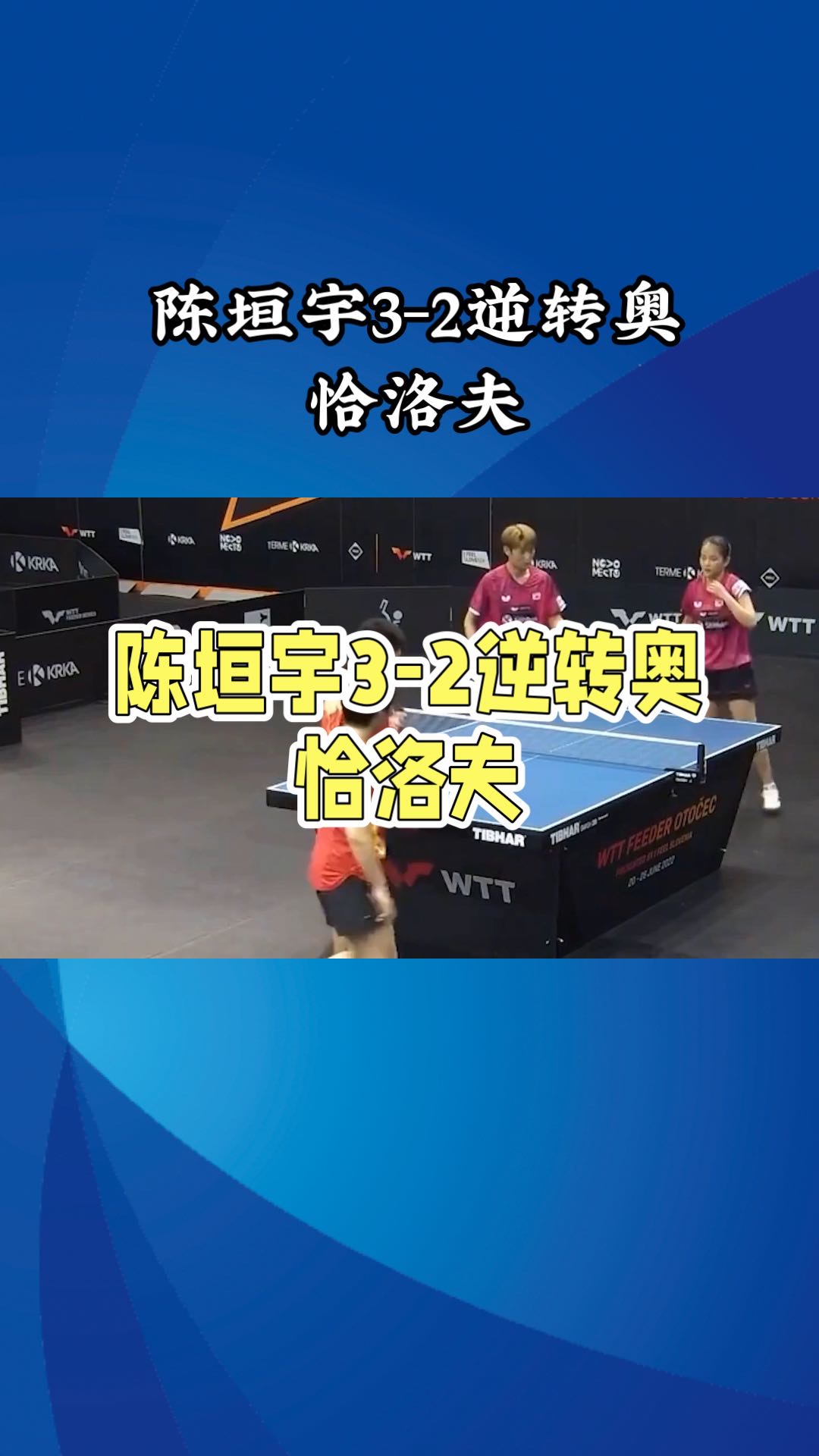 IM体育下载-关于韩国乒乓球队逆转比利时乒乓球队，奥恰洛夫送出助攻的信息