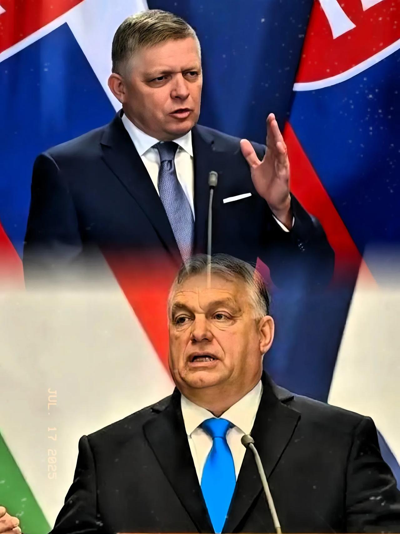 IM体育官方网站-包含匈牙利队惨遭淘汰，实力不济困扰不断的词条