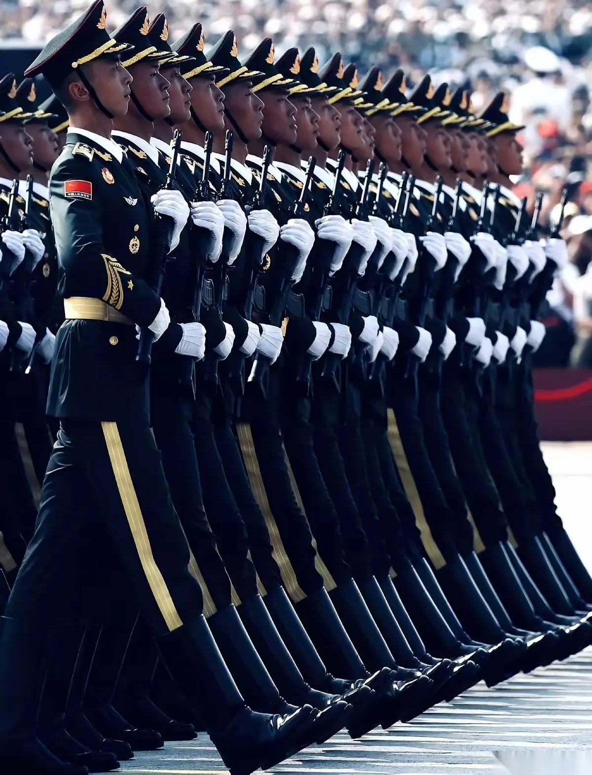 IM体育官方网-关于雄狮队击败对手，赢得关键胜利的信息