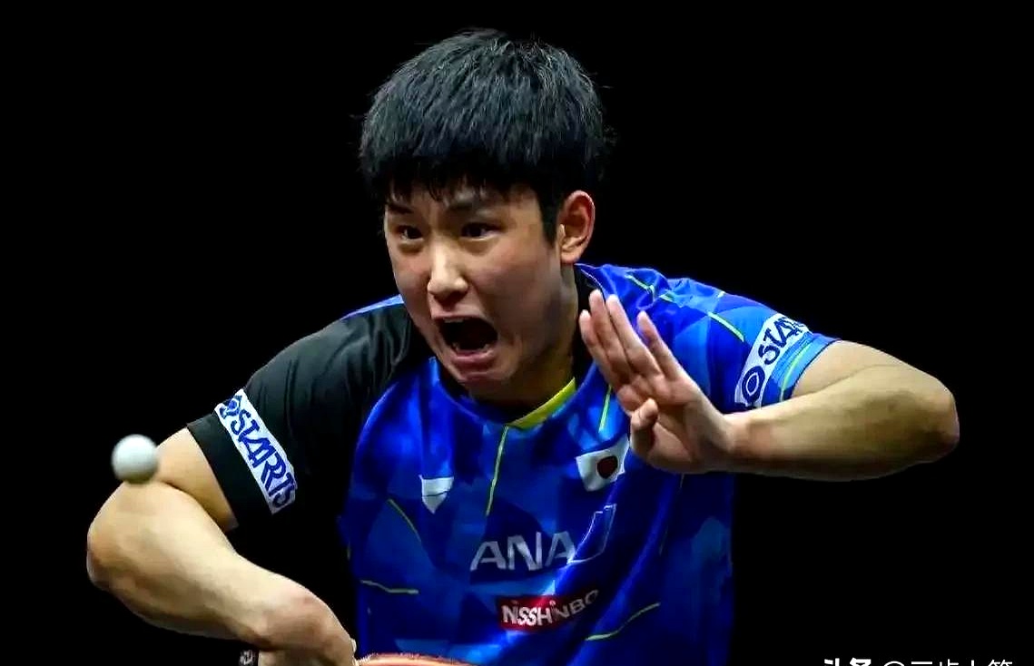 IM体育数据分析平台-中国队绝杀瑞典队，张本智和关键制胜的简单介绍