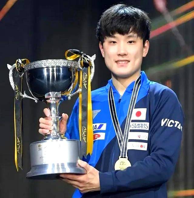 IM体育数据分析平台-中国队绝杀瑞典队，张本智和关键制胜的简单介绍