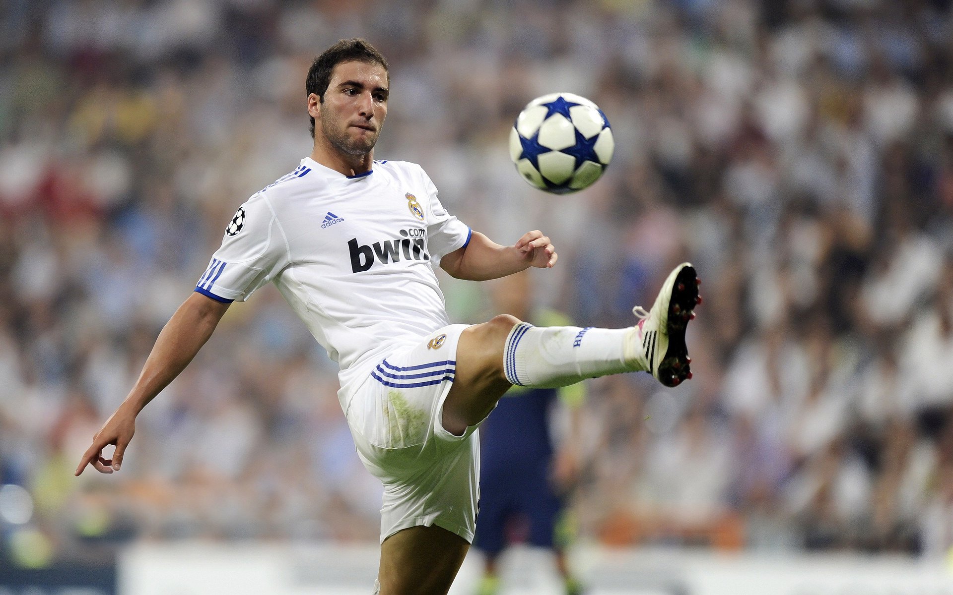 IM Sport-墨西哥单节拉开尼斯，马丁内利奥运周期关键战接管比赛，诠释领袖唯一性